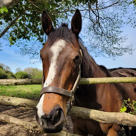-parking Privé -le Valentin -coeur Historique -la Clef De * Honfleur