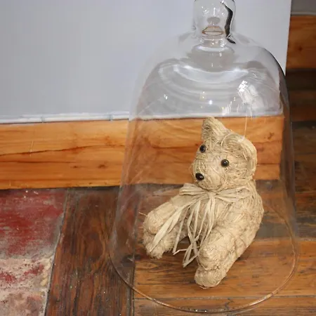 Appartement Parking Prive -le Valentin -coeur Historique -la Clef De