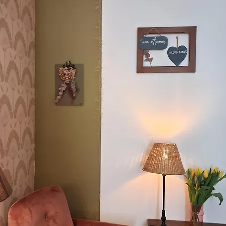 Apartment Parking Prive -le Valentin -coeur Historique -la Clef De