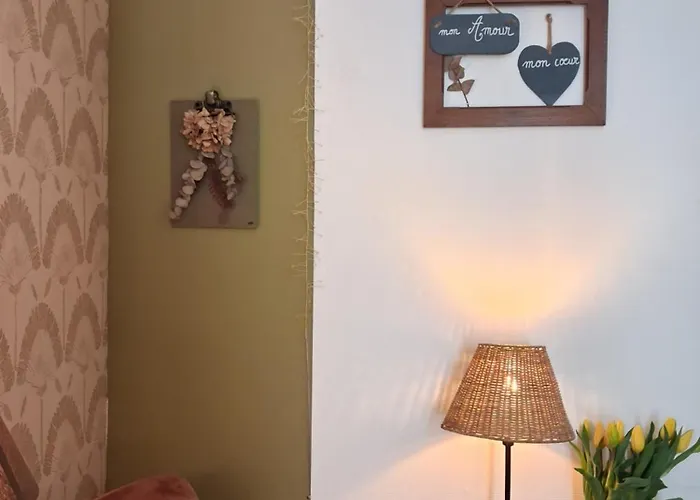 Lejlighed Parking Prive -le Valentin -coeur Historique -la Clef De